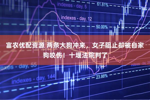 富农优配资源 两条大狗冲来，女子阻止却被自家狗咬伤！十堰法院判了