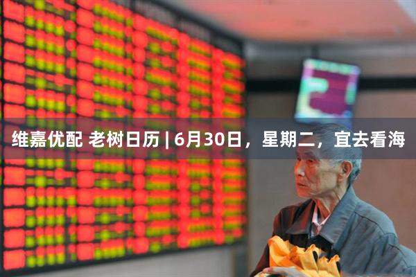 维嘉优配 老树日历 | 6月30日，星期二，宜去看海